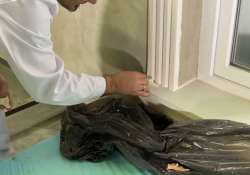 Auch im Stuckmuster sorgfältig arbeiten! Auch im Stuckmuster sorgfältig arbeiten!